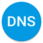 icon DNS Changer 1172r