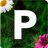 icon Pollenvarning 3.11