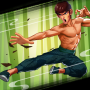 icon Kung Fu Attack