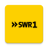 icon SWR1 6.8.3.2324