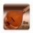 icon Persian Setar 3.0