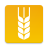 icon LAD 2.4.5