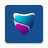 icon Flux 81.0