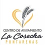 icon Tierra de Cosecha