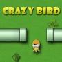 icon Crazy Bird