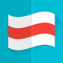 icon Flags