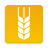 icon LAD 3.0.6
