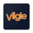 icon Viigle 6.74