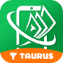 icon Taurus
