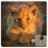 icon Cute Animals Puzzle 16.1