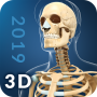 icon My Skeleton Anatomy