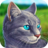 icon Cat SimulatorAnimal Life 1.0.2.5