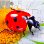 icon Insect Puzzles