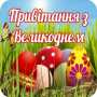 icon com.newandromo.dev1124786.app2854967