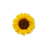icon CarLu 23.0