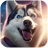 icon Husky Simulator 1.1.3