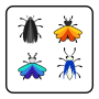 icon Bug Breeding
