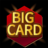 icon BigCard 3.9